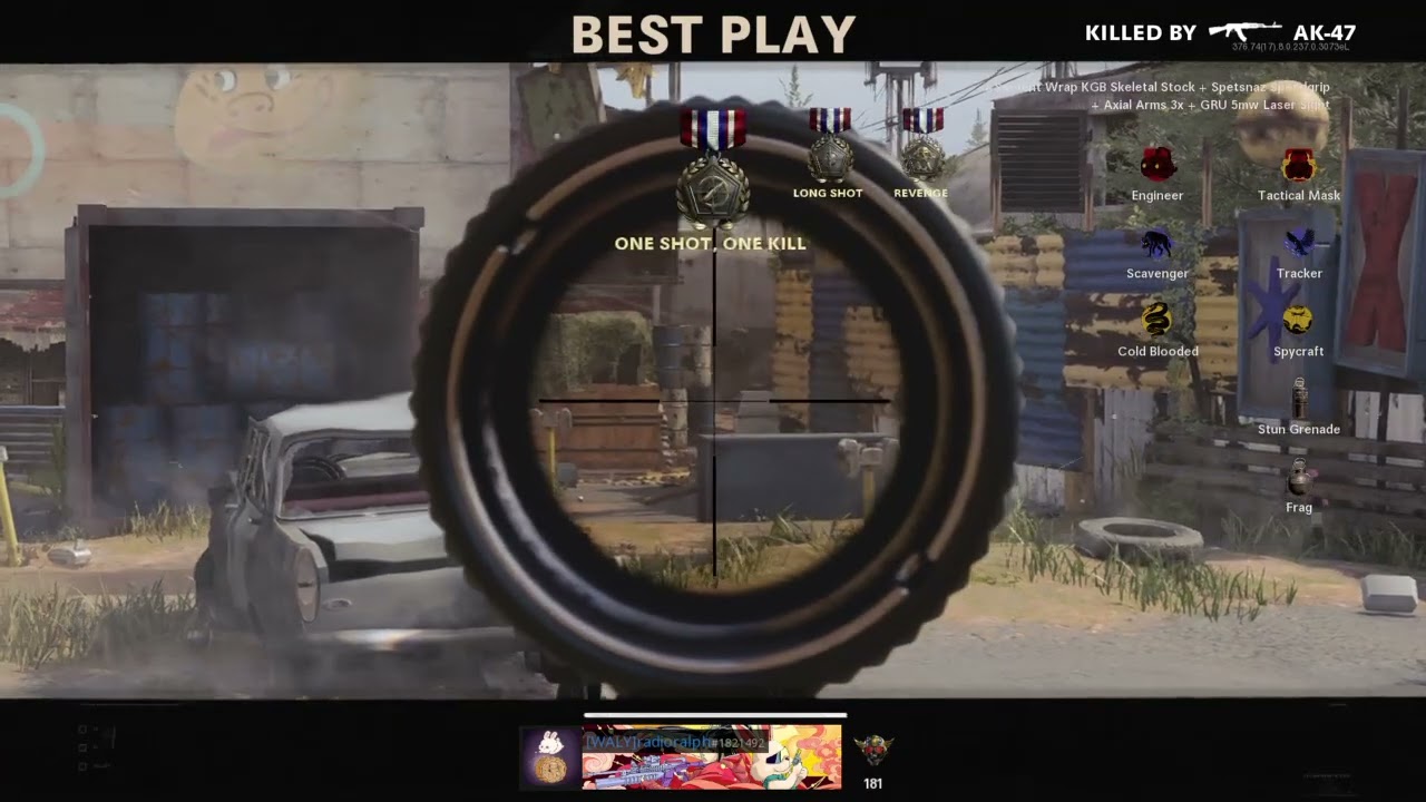 Call of Duty&reg;: Black Ops Cold War cat nip