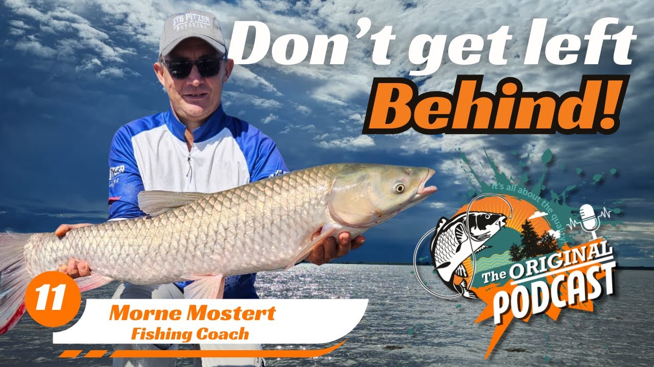 How To Speed Up Your Fishing? Answering The Question About When Is Enough, Indeed Enough. (dips)