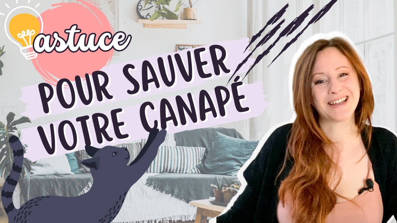 Comment empêcher son chat de faire les griffes sur le canapé ?