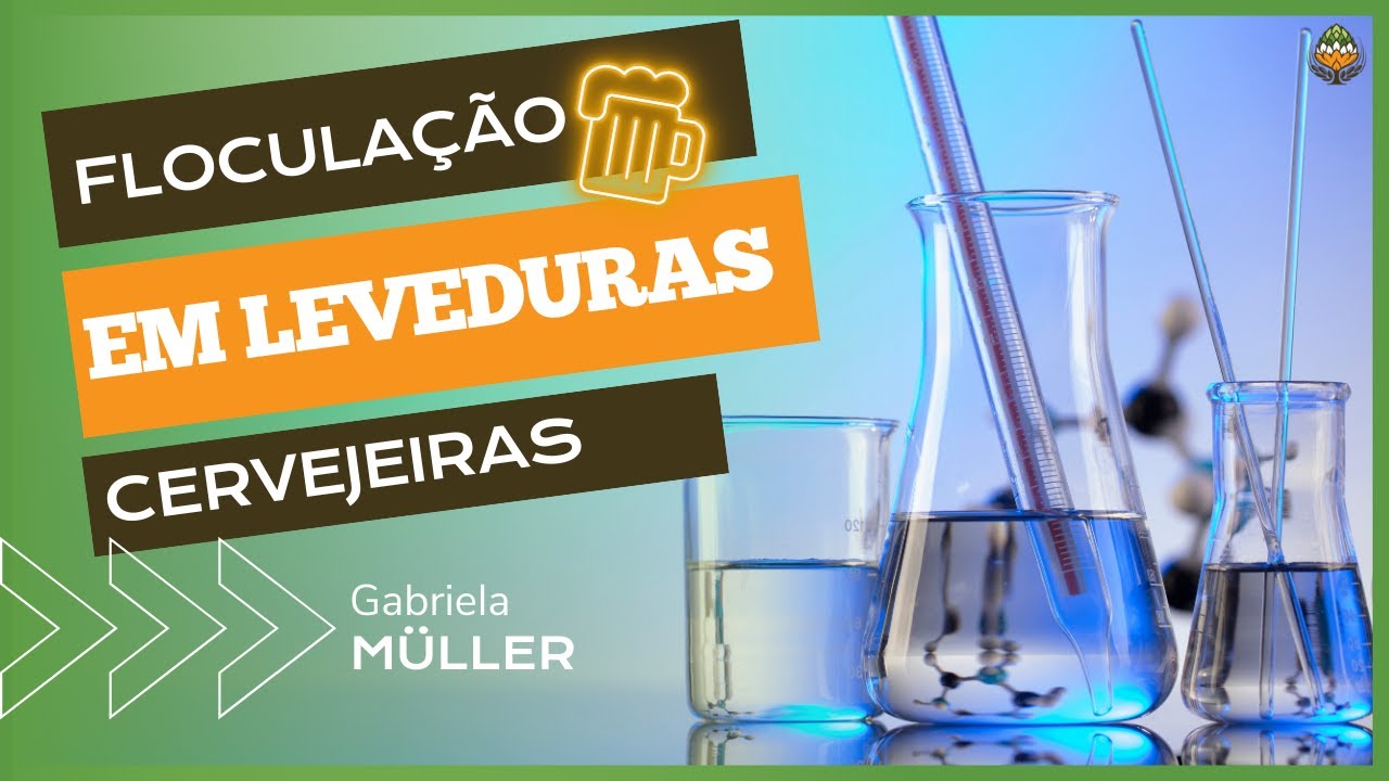 Floculação em Leveduras Cervejeiras