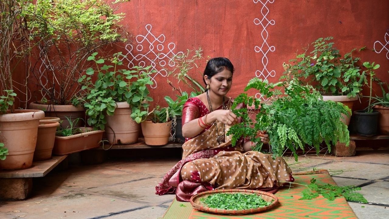 Munagaku Karam & Munagaku Pappu Recipe|Moringa Leaves Recipes|Village Cooking|Traditional Lifestyle|