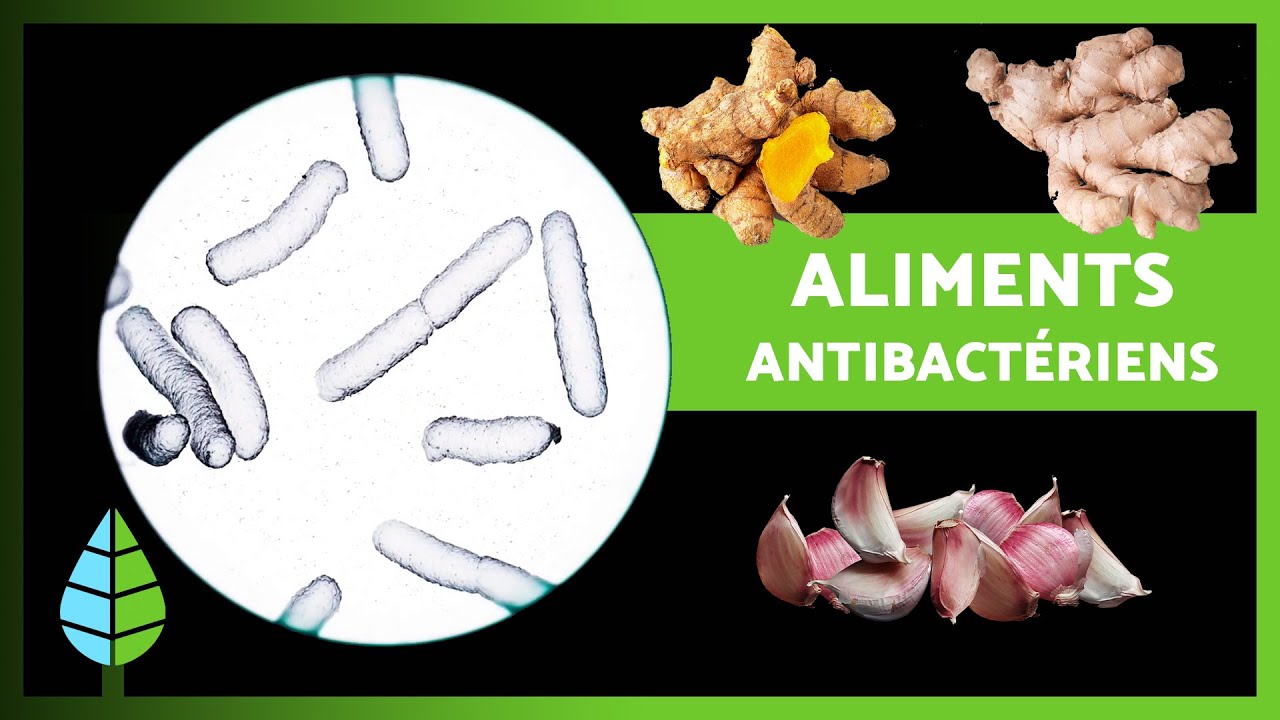 14 ANTIBIOTIQUES NATURELS 🌿🦠 (Aliments et plantes antibact&eacute;riens)