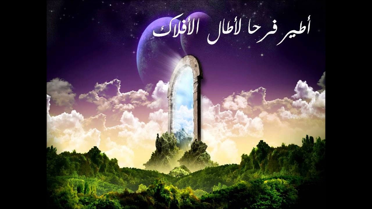 امشب در سر 