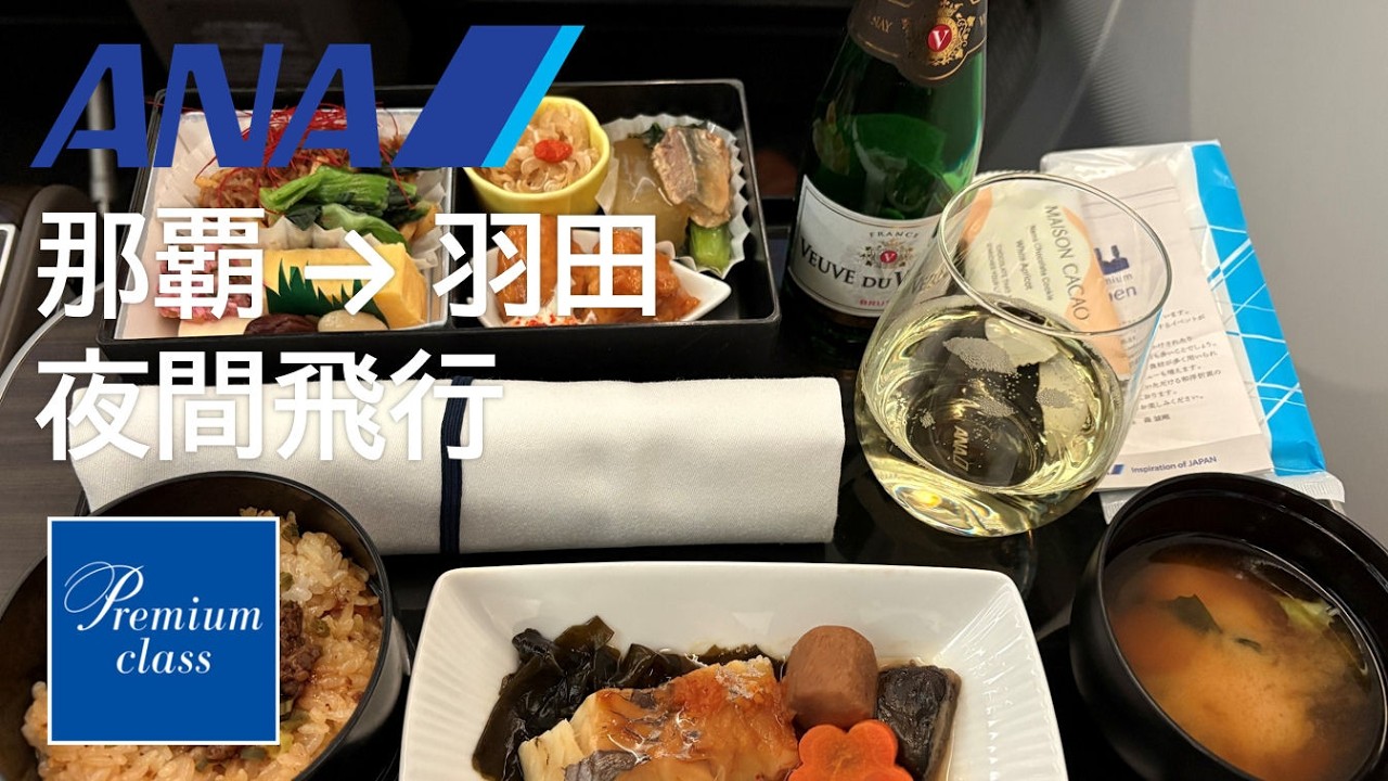 【ANAプレミアムクラスBoeing787-10】ANA476便、那覇空港→羽田空港 夜間飛行