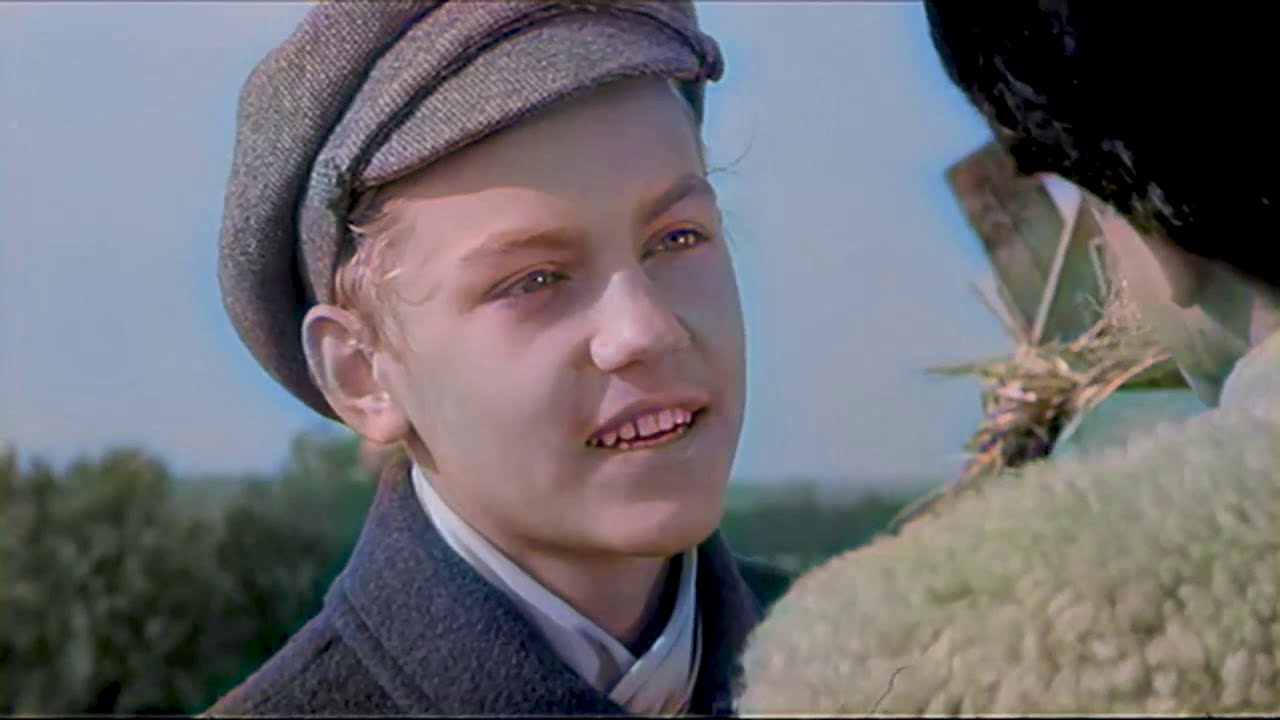 Kui film 