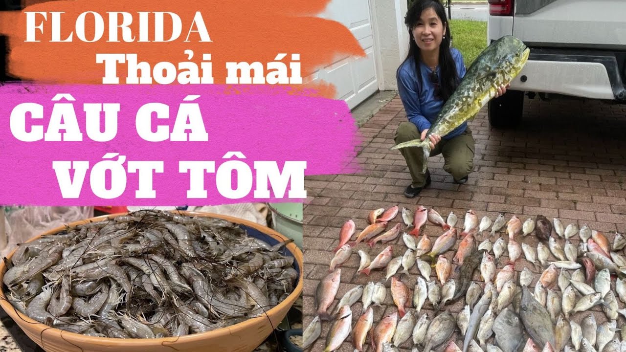 CÂU CÁ, VỚT TÔM THOẢI MÁI Ở FLORIDA