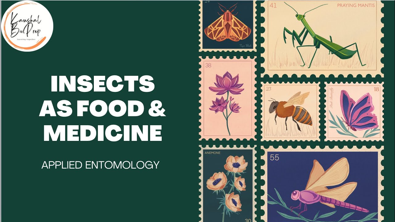 APPLIED ZOOLOGY | APPLIED ENTOMOLOGY | INSECTS AS FOOD & MEDICINE