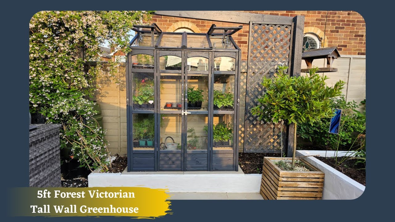 5ft Forest Victorian Tall Wall Greenhouse with Auto Vent - Own Purchase - How I use my Greenhouse