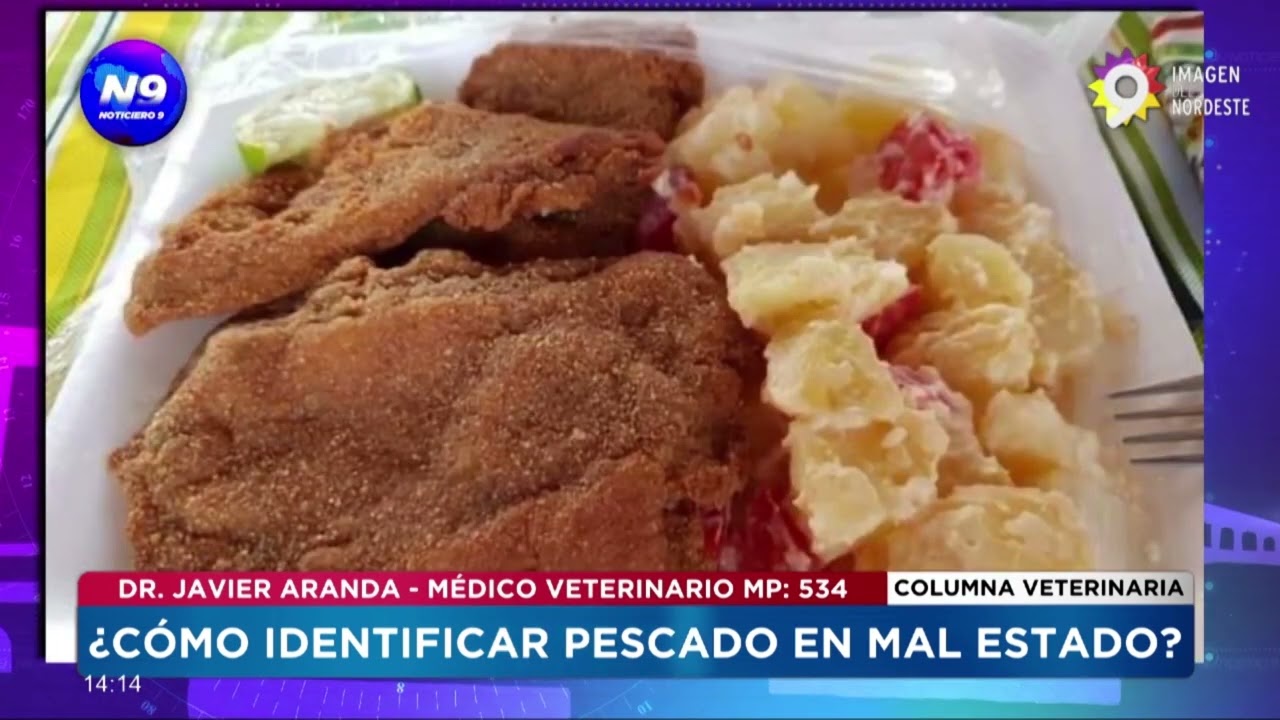 ¿CÓMO IDENTIFICAR PESCADO EN MAL ESTADO? - NOTICIERO 9