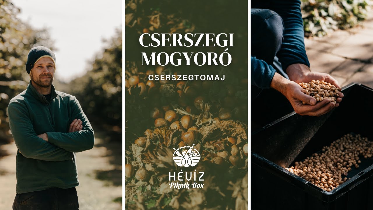 Pörkölt törökmogyoró Cserszegtomajról - Cserszegi mogyoró | Hévíz Piknik Box
