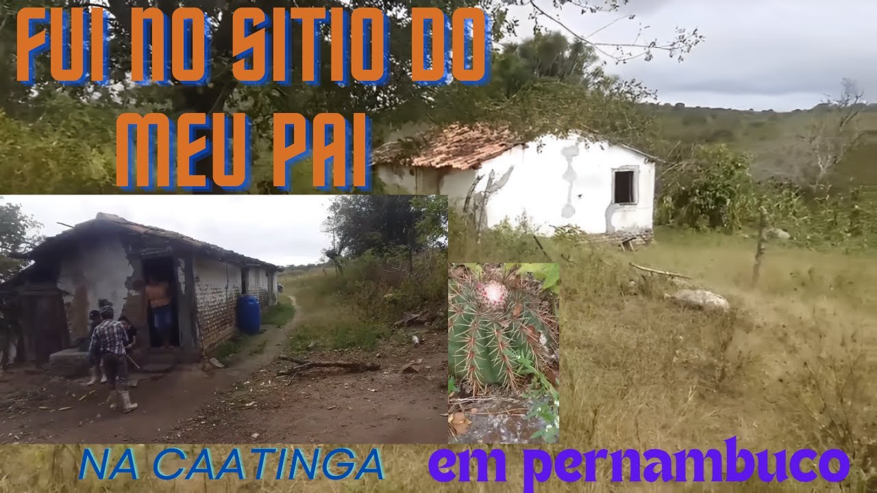 CAATINGA BRUTA em Pernambuco município de altinho  se inscreve pra maís 😃👍