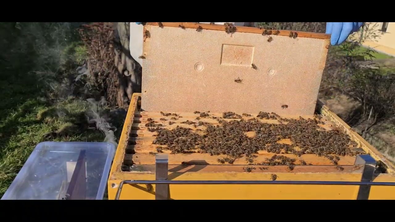 Futter Bienen Volk 3