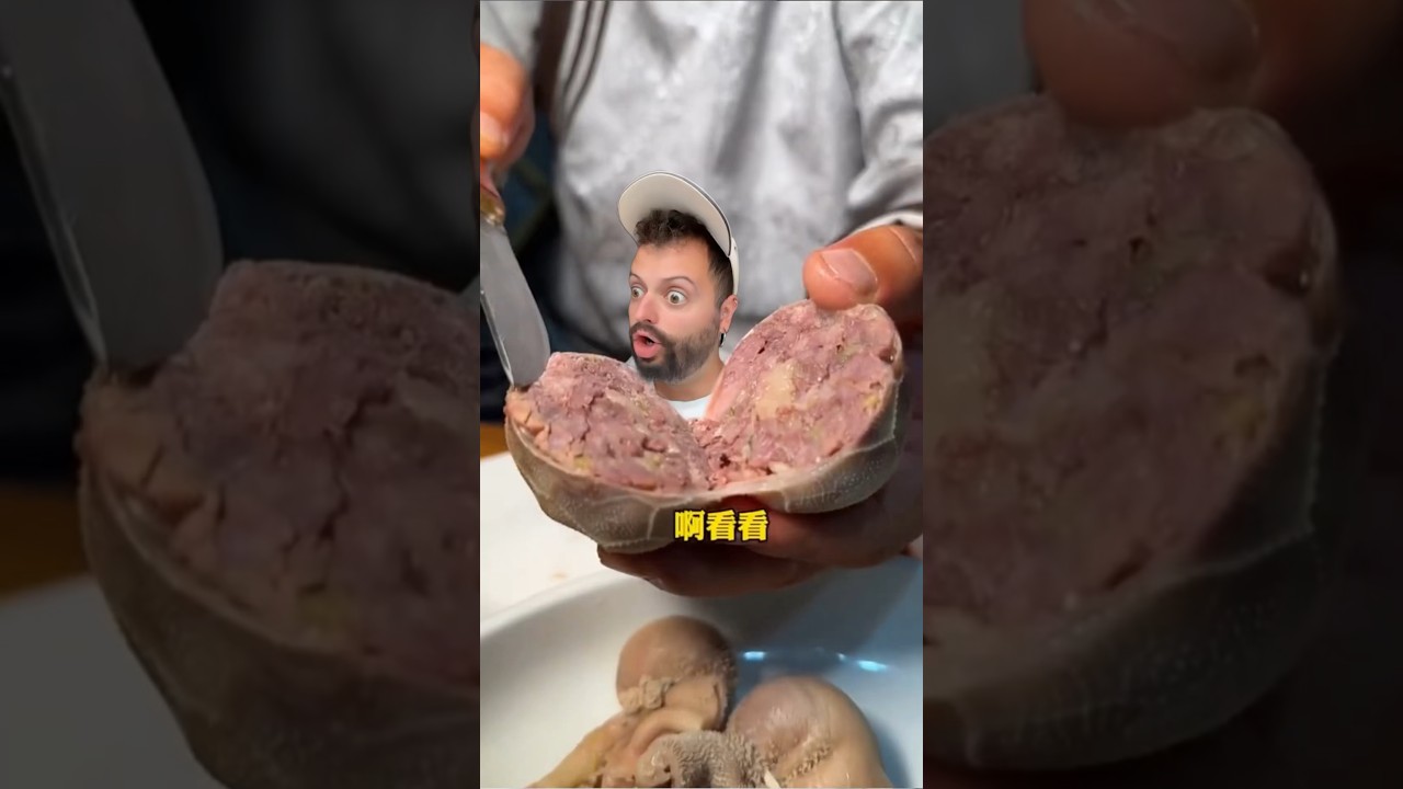 &iquest;Lo hab&eacute;is probado?