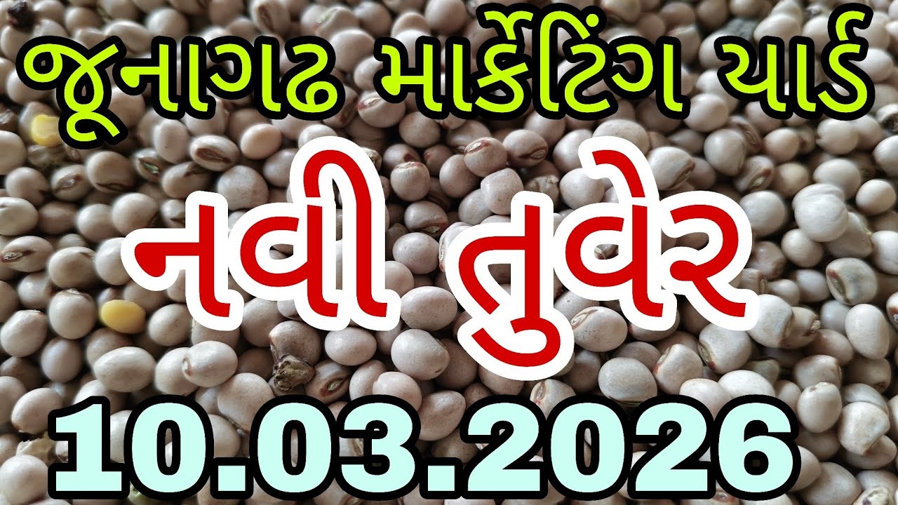 જુનાગઢ માર્કેટિંગ યાર્ડ લાઈવ ભાવ નવી તુવેર ના બજાર ભાવ  / Junagadh Marketing Yard 10.03.2026. #blog