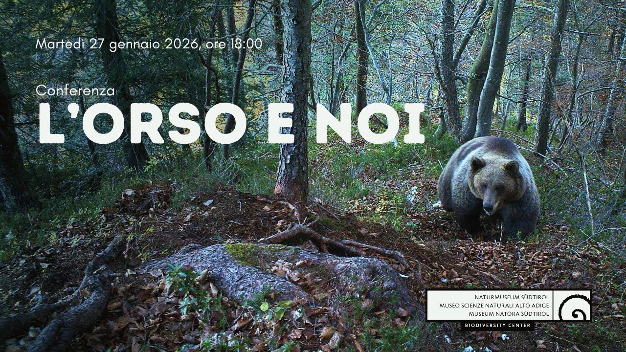L’orso  e noi