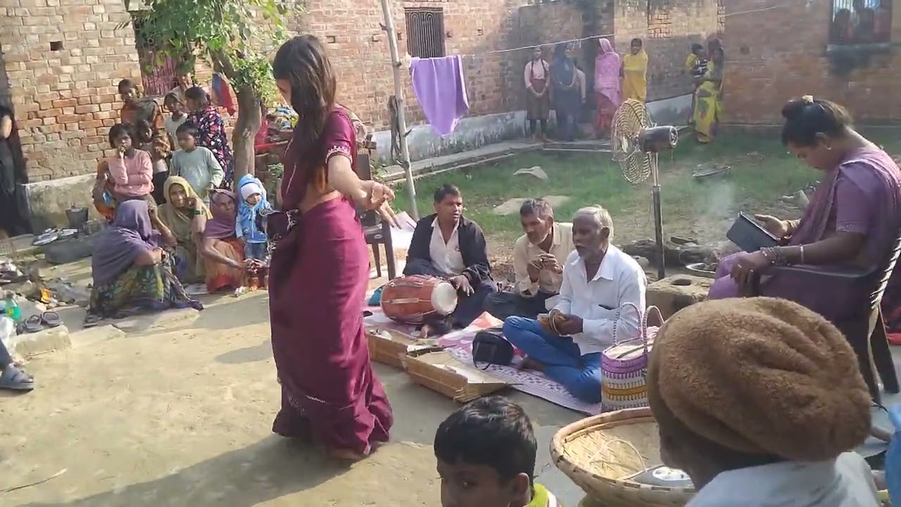 11 नवम्बर 2025