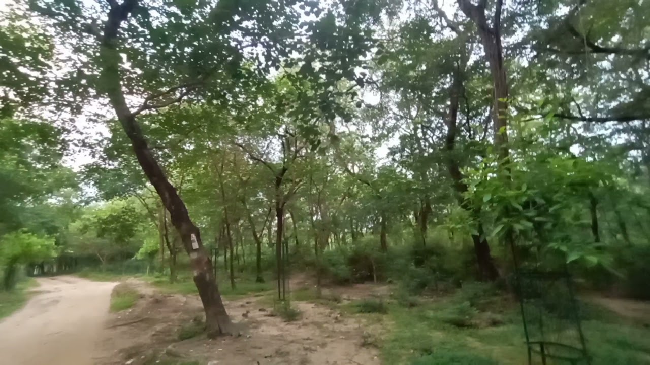 shahpur jungle#shorts #youtubeshorts #jungkook