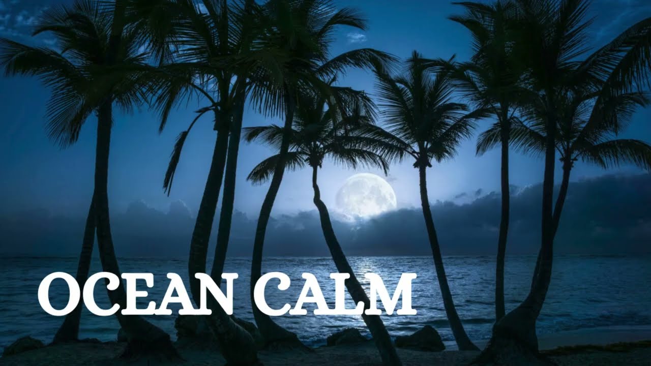 Midnight Ocean Calm 🌙 Deep Island Reggae | Mix # 12  Night Chill