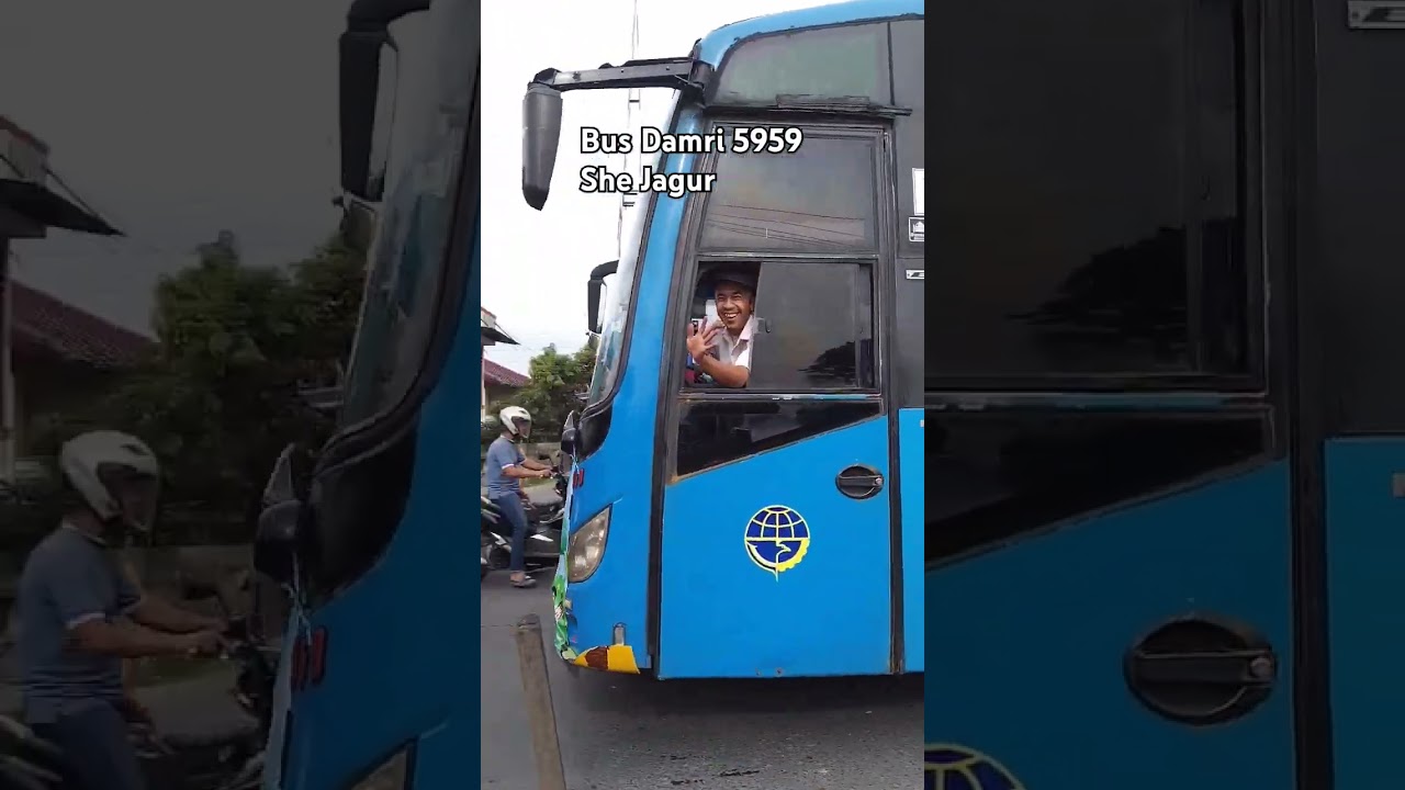 Bus Damri She Jagur #Damri #Busdamri #shorts