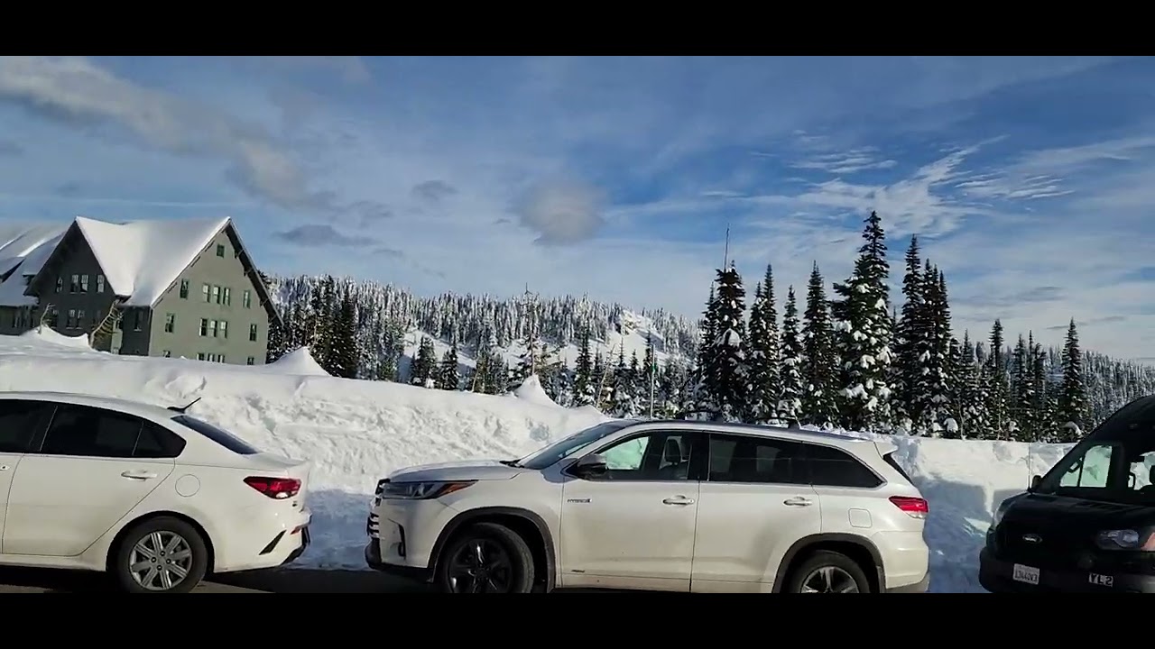 Paradise at Mount Rainier(మౌంట్ రైనర్ వద్ద స్వర్గం) EXCELLENT