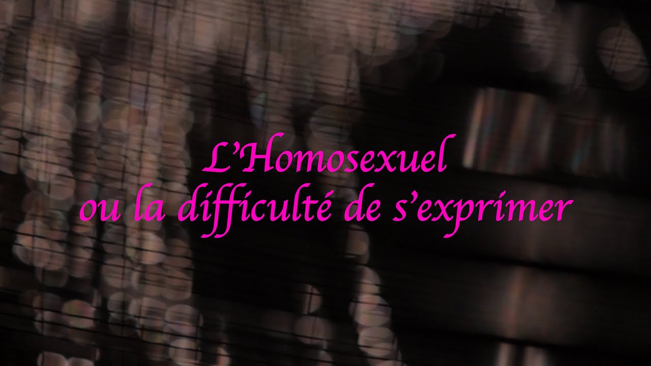 L'Homosexuel ou la difficulté de s'exprimer – Copi – Thibaud Croisy
