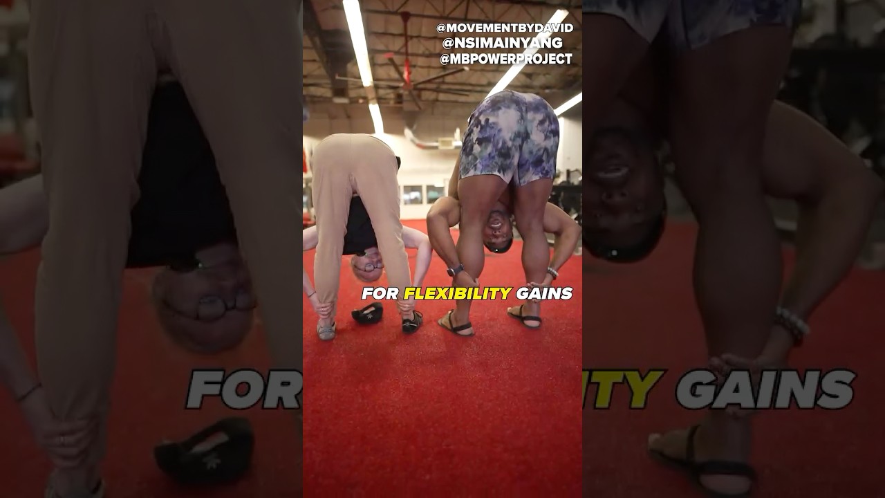Dynamic Stretching for Flexibility Gains @MovementbyDavid