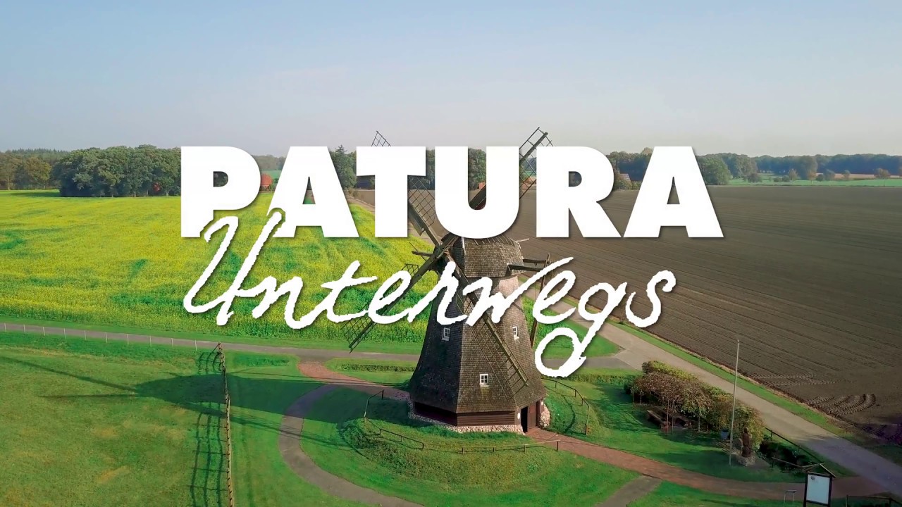 Kuh Lady Gaga - Schutenmühle Löningen | PATURA Unterwegs