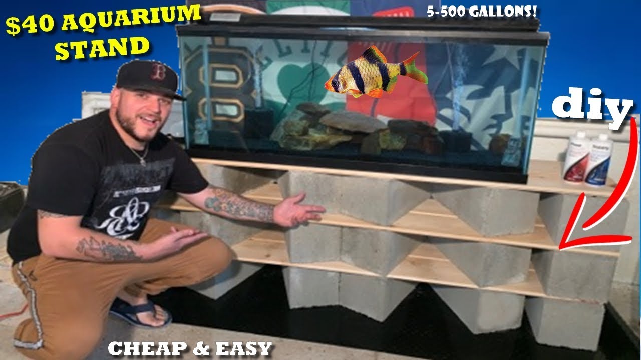DIY AQUARIUM STAND + MY NEW* 55 GALLON TANK SETUP