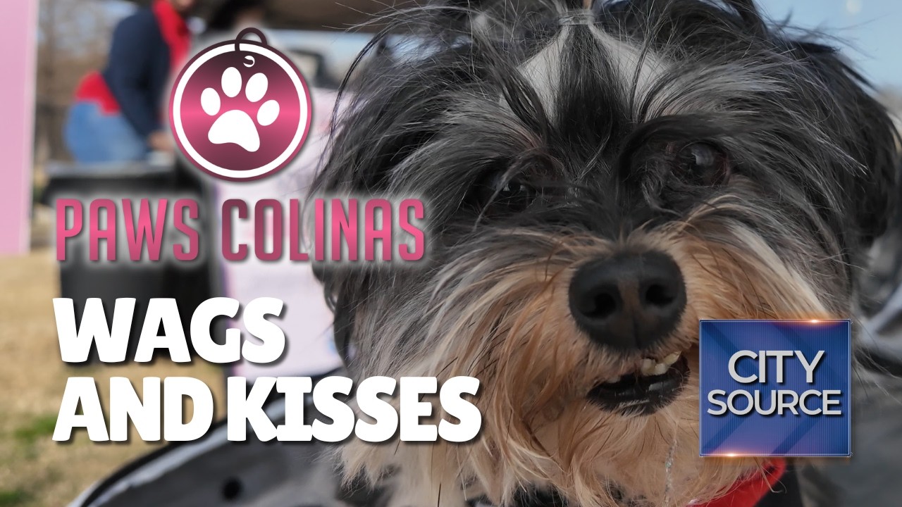 🐶 Wags & Kisses Pop Up at Paws Colinas ❤️