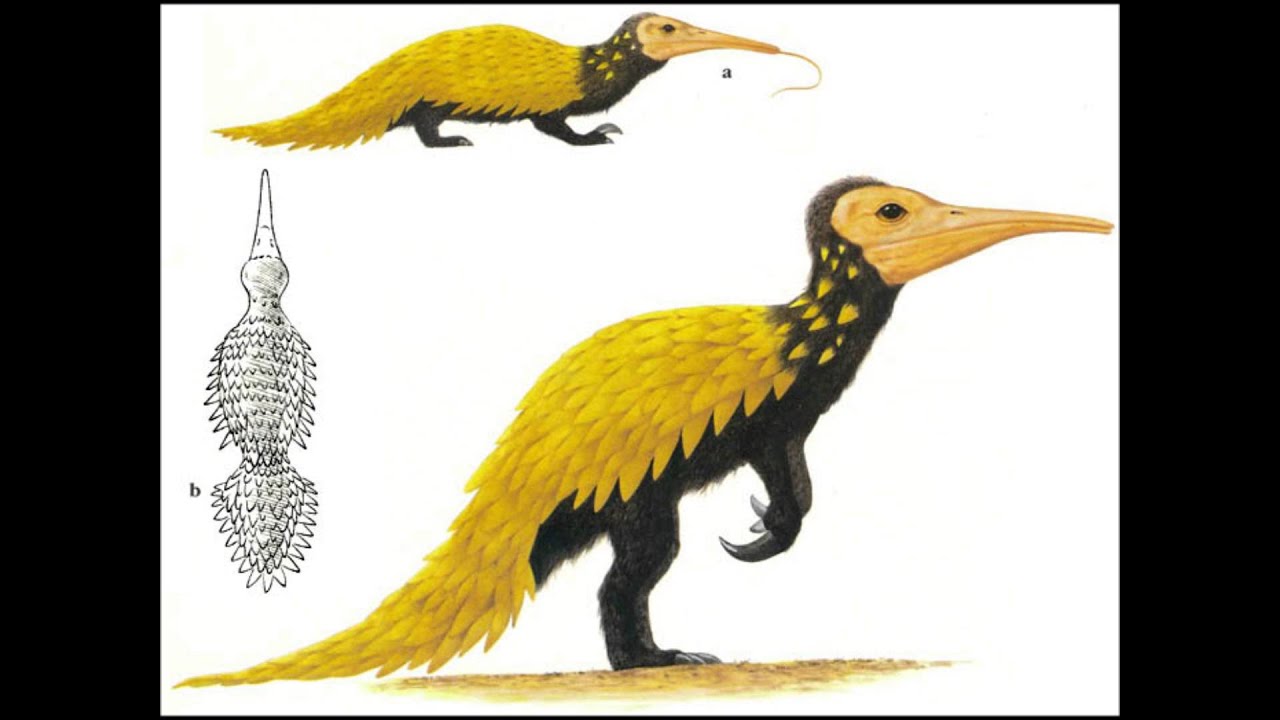 The New Dinosaurs:An Alternative Evolution