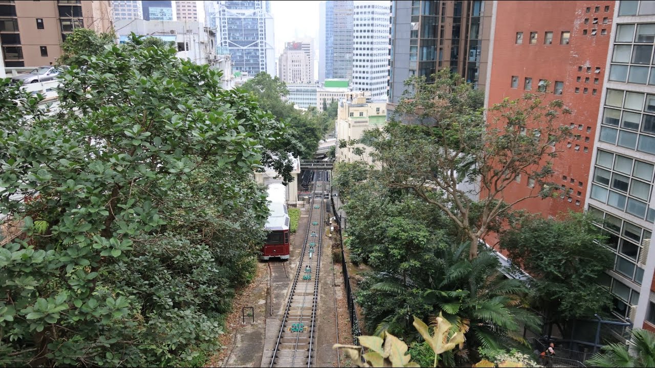 香港公園,纜車徑,漆咸徑,醫院徑,施勳道,種植道,芬梨道,山頂廣場,薄扶林水塘道,港島徑,貝璐道,香港仔@【平遊山野】香港行山 31.1.2026 (越野優悠隊/自由行)