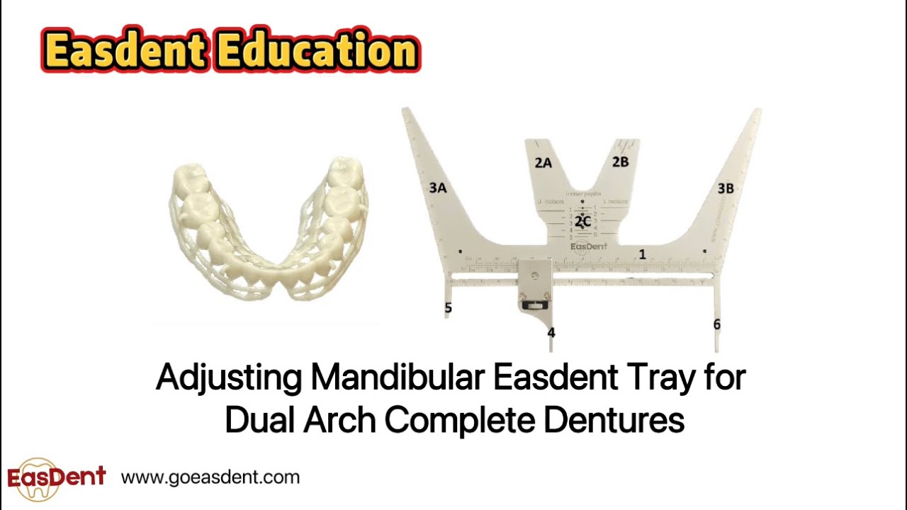 old Adjusting Mandibular Easdent Tray for Dual-Arch Complete Dentures