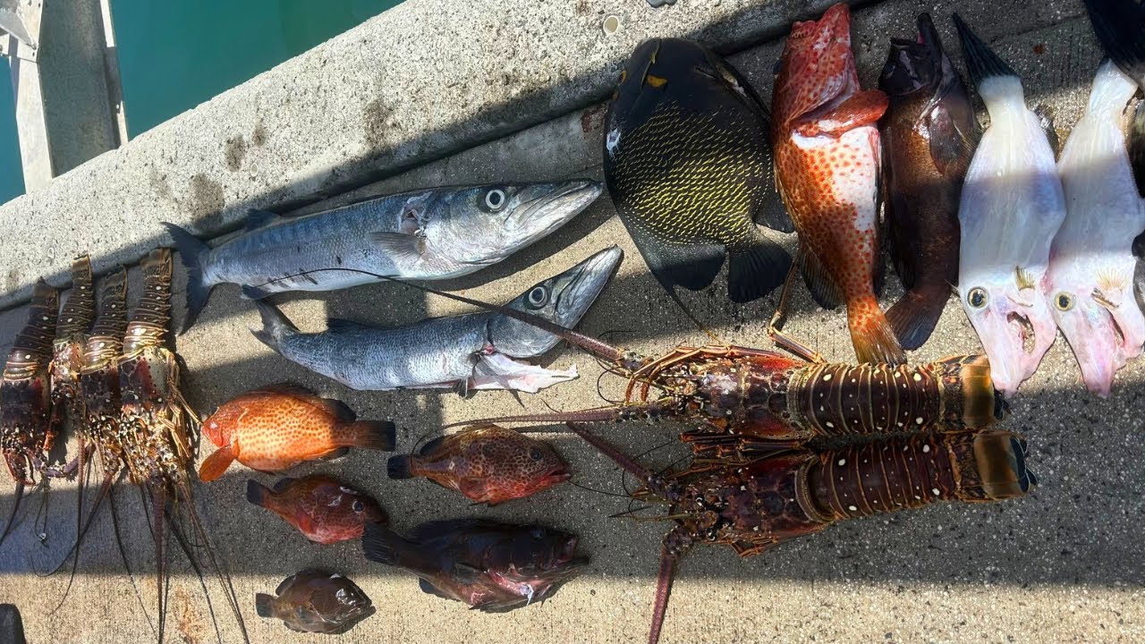 SPEARFISHING ON THE REEF ST.MAARTEN LIFESTYLE 