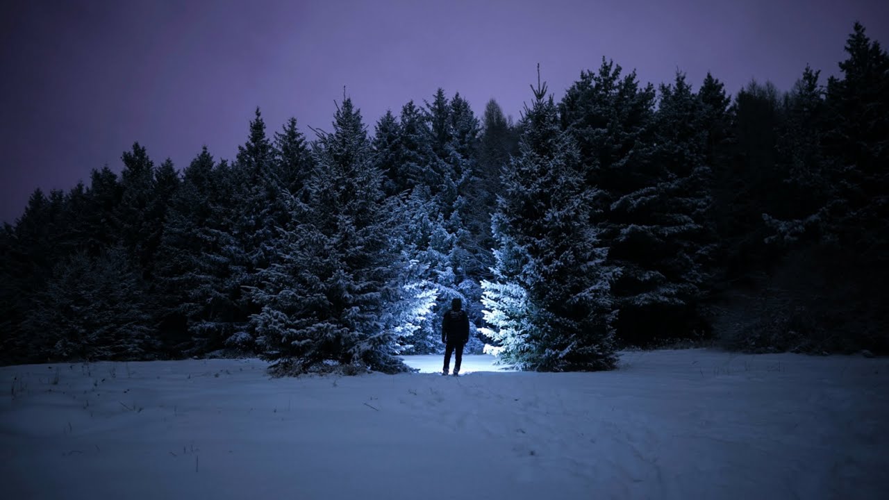 Among the Pines | Liminal Forest [Winter Night Forest Hike, Ontario]