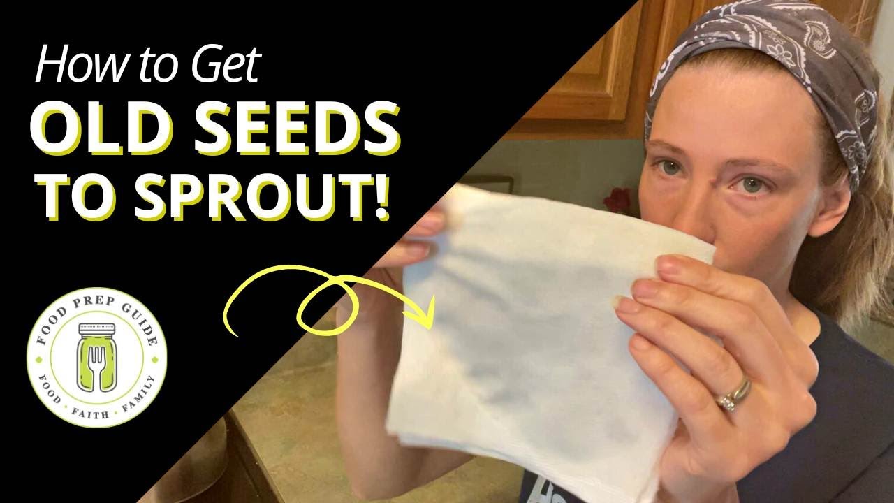 Germinate Old Seeds with This Simple Trick!