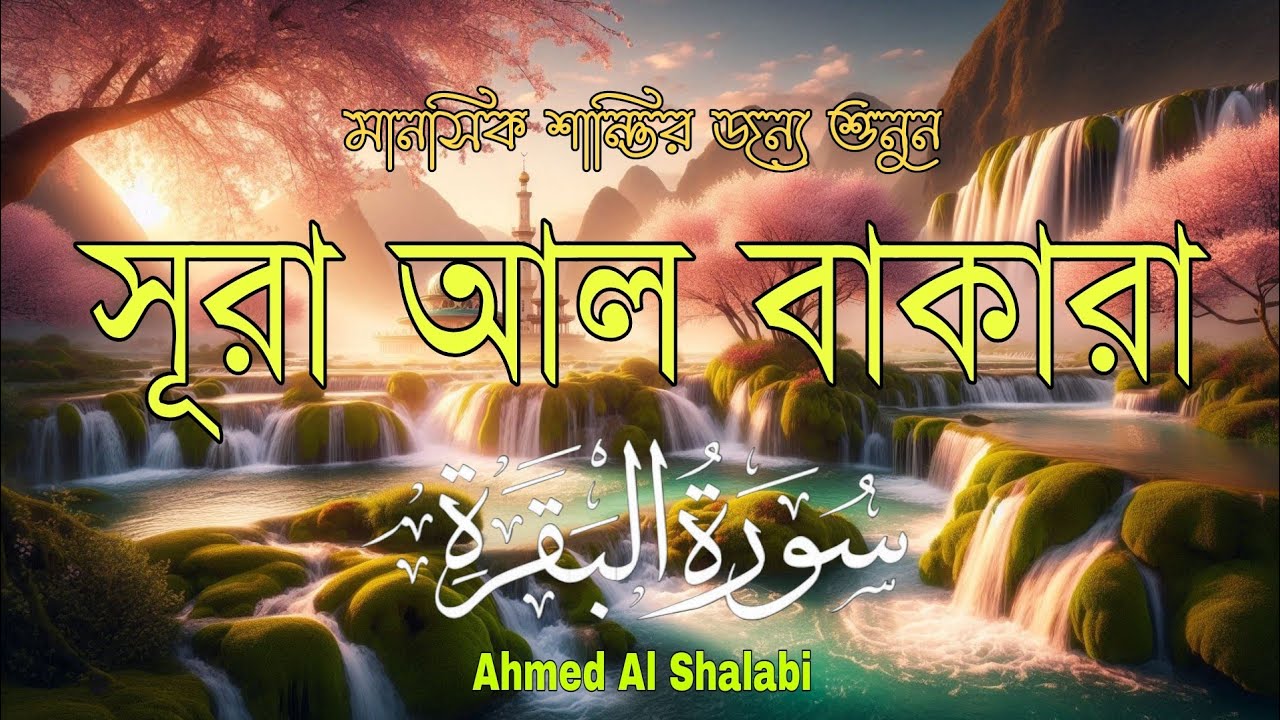 ঘরে শান্তি, নিরাপত্তা ও বরকতের জন্য শুনুন সূরা আল-বাকারা | Quran Recitation by ahmed al shalabi