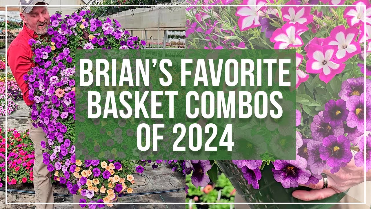 Brian's Favorite Bauman Basket Combos of 2024