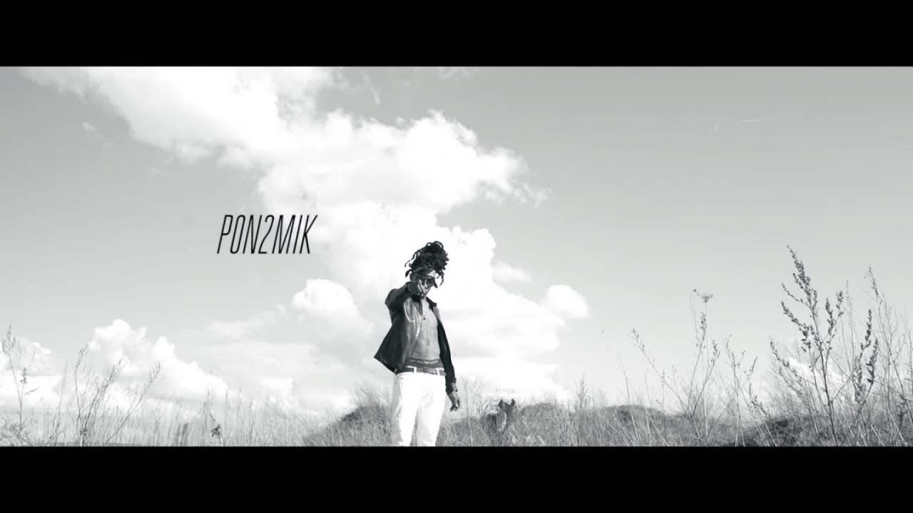Pon2Mik - SDF