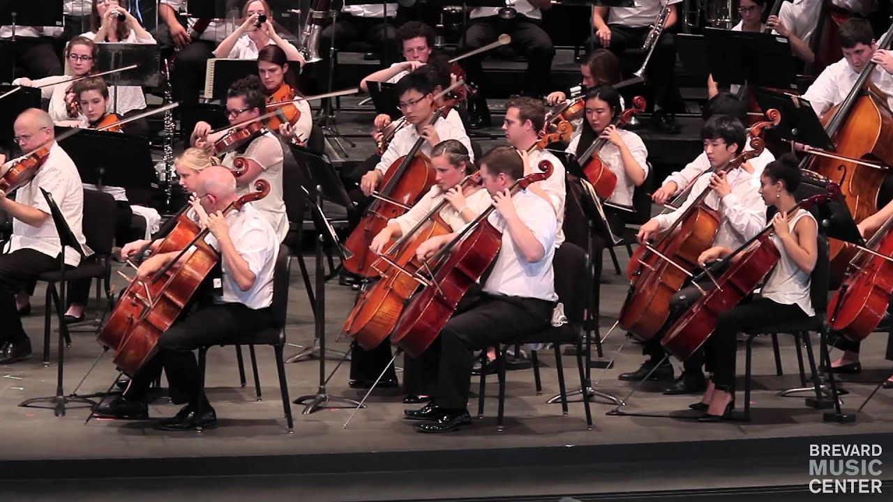 MAHLER Symphony No. 1: IV. Stürmisch bewegt
