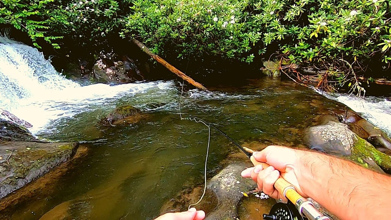 Fly Fishing Wild River Trout (Broken Rod - No Problem!!)