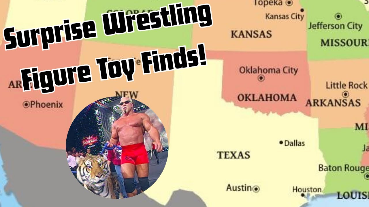 Surprise Local WWE Wrestling Figure Pickups and Unboxing! 
