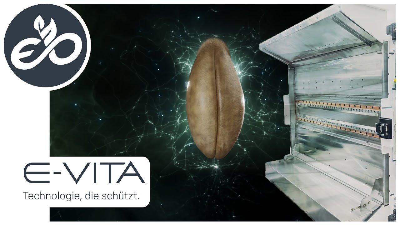 Wie funktioniert die E-VITA Technologie