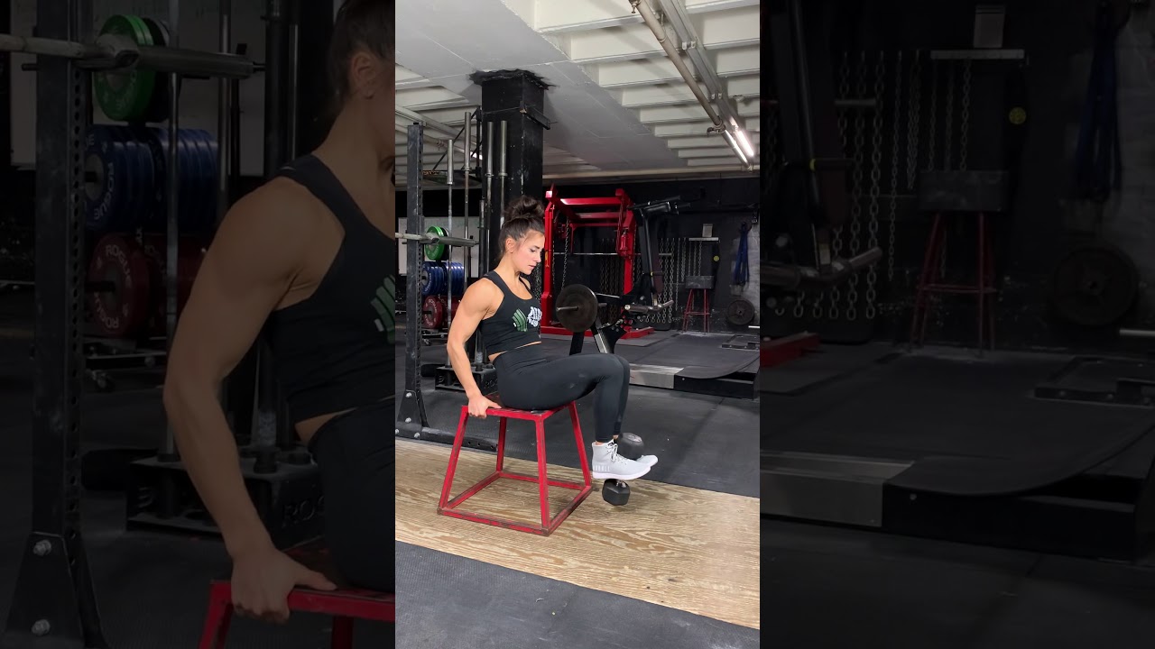 Dumbbell Leg Extensions