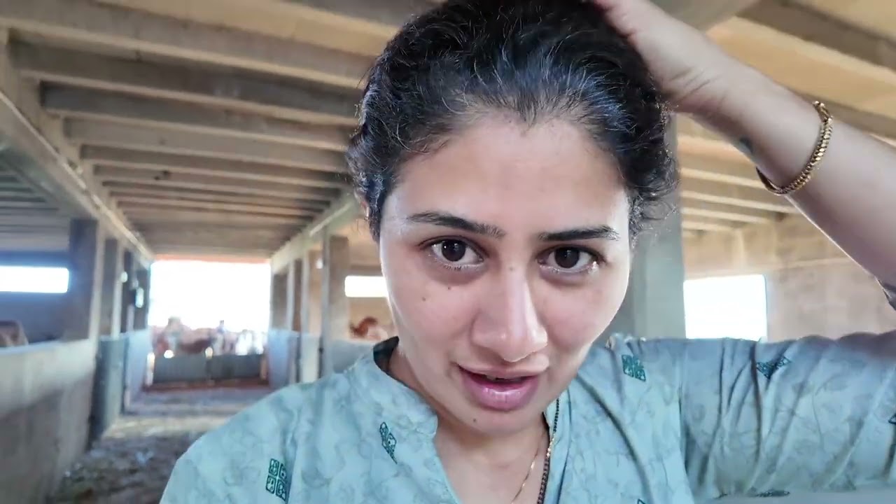 gujarati video avego hev/ ખેતર મા કહ ખોવાણી