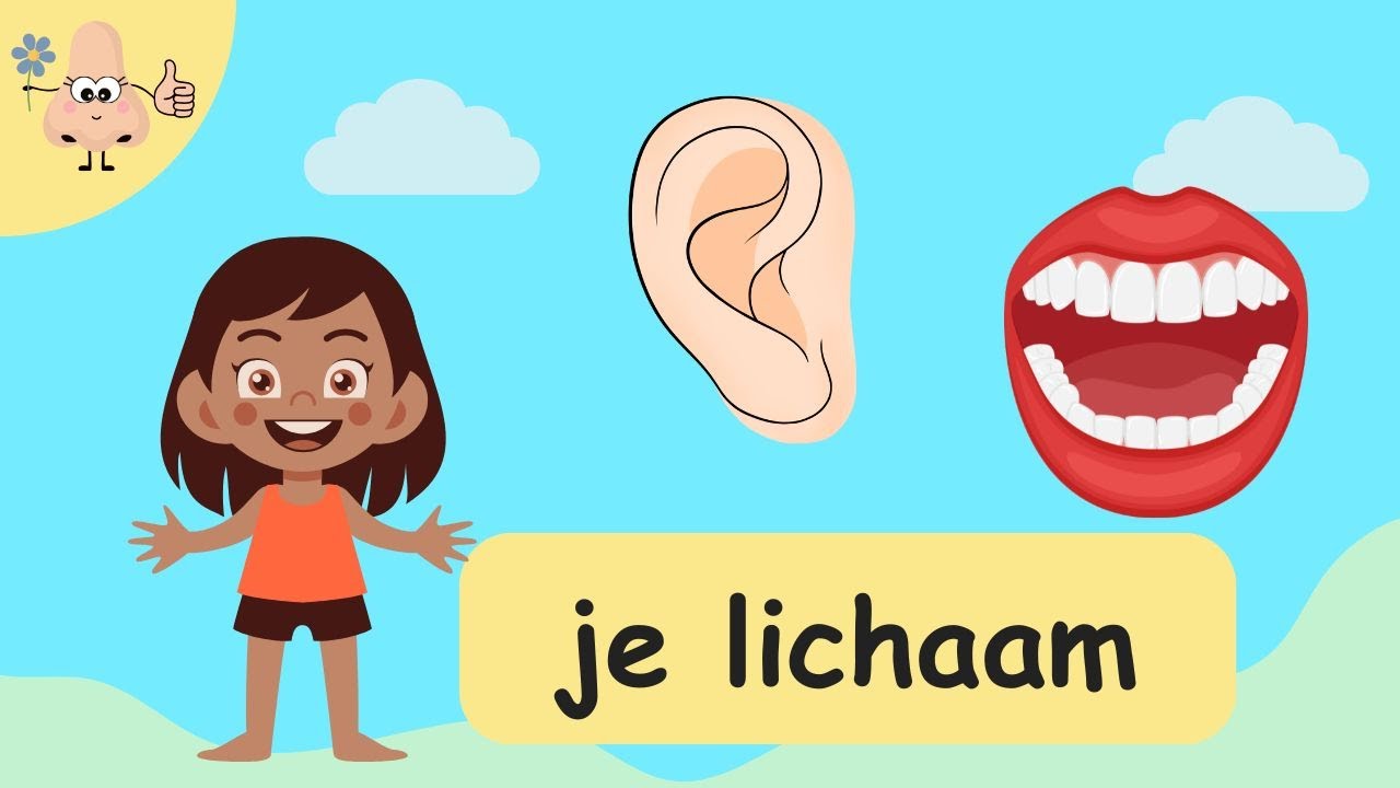 Lichaamsdelen leren &ndash; Woordenschat voor Peuters & Kleuters