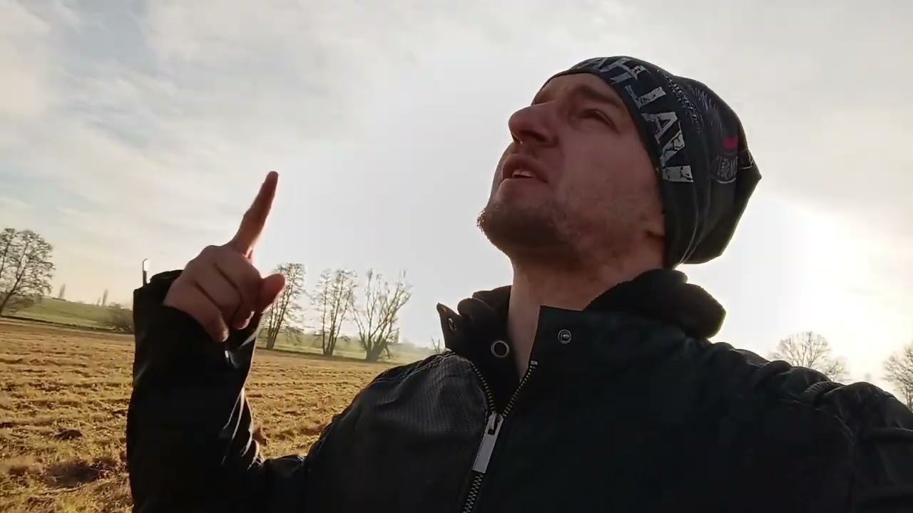 Falko gibt niemals auf 