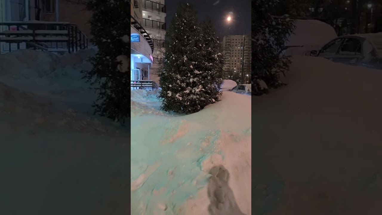 Зимняя снежная январская Москва!