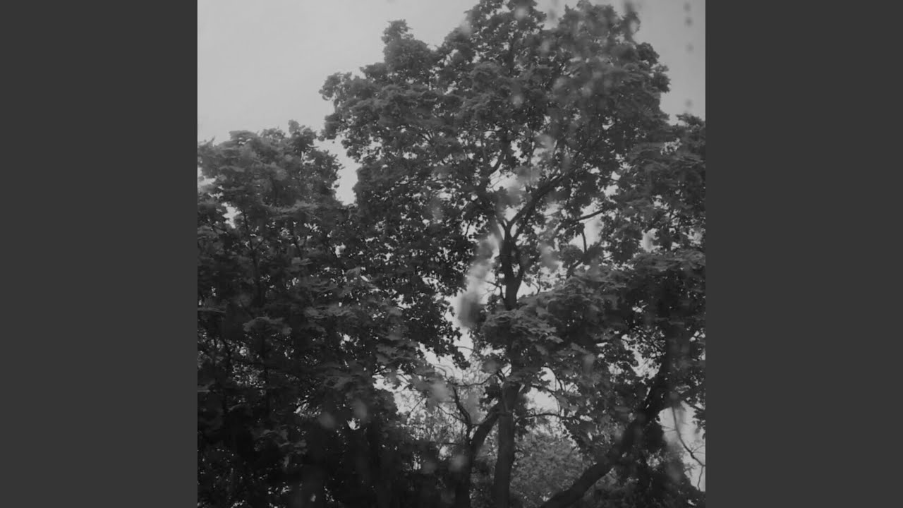 Never Forgive Me, Never Forget Me (From "Silent Hill 3")