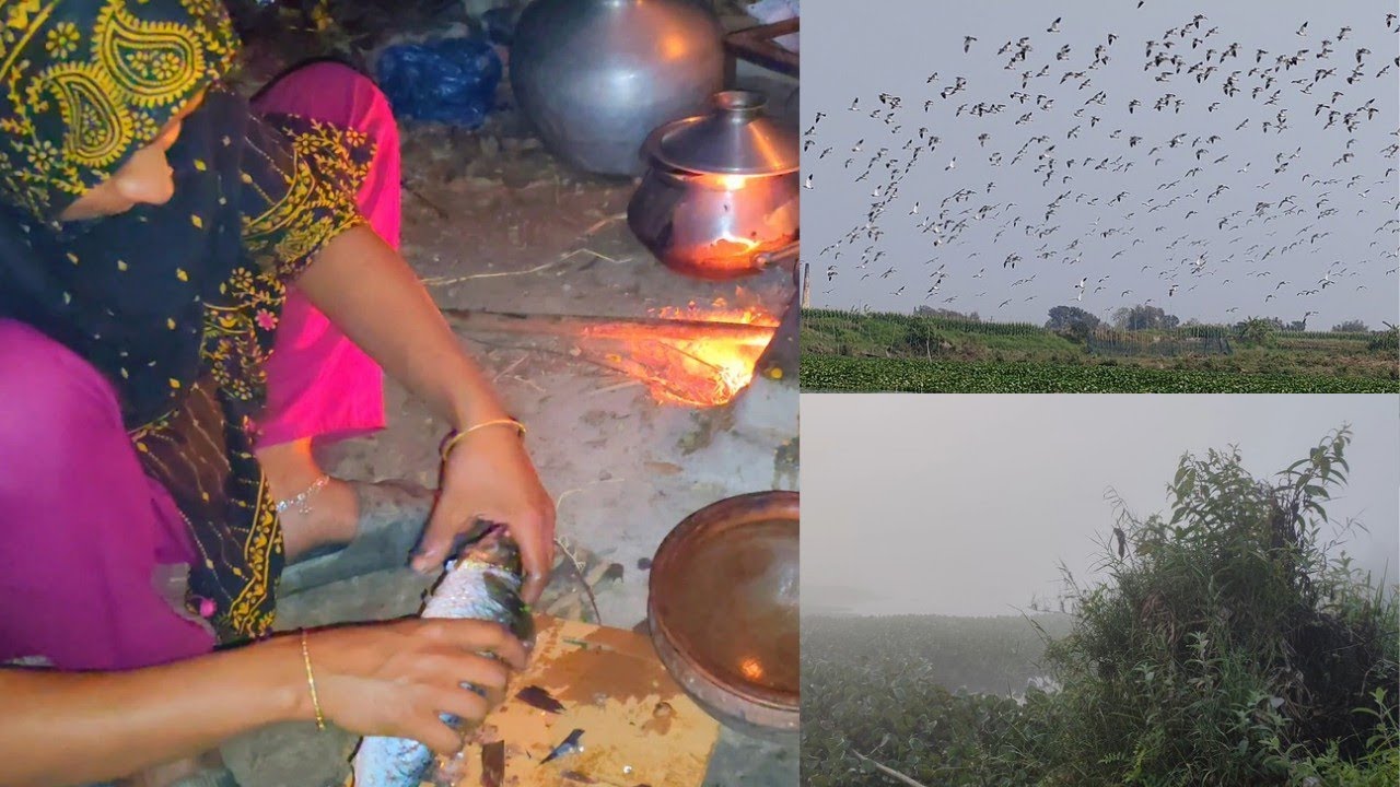 🎣 বরশী দিয়ে দুইটা মাছ ধরলাম | বউয়ের হাতে কাটাকাটি আর রান্নার প্রস্তুতি 🐟