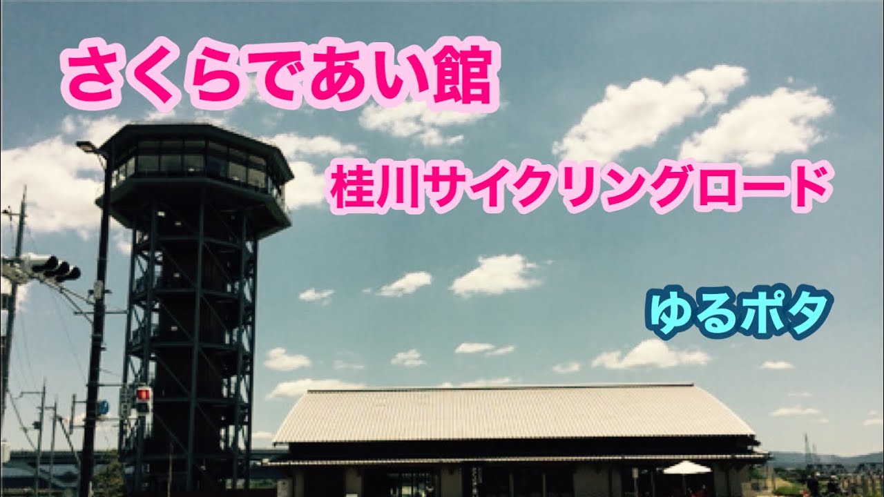 【ロードバイク】さくらであい館　桂川サイクリングロード　ゆるポタ！